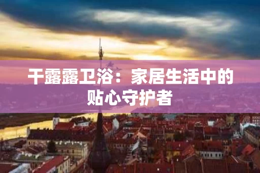 干露露卫浴：家居生活中的贴心守护者