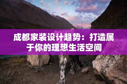 成都家装设计趋势：打造属于你的理想生活空间