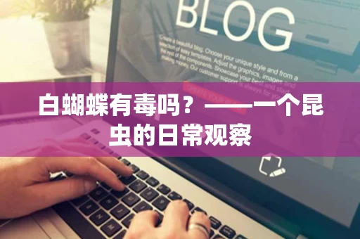 白蝴蝶有毒吗？——一个昆虫的日常观察