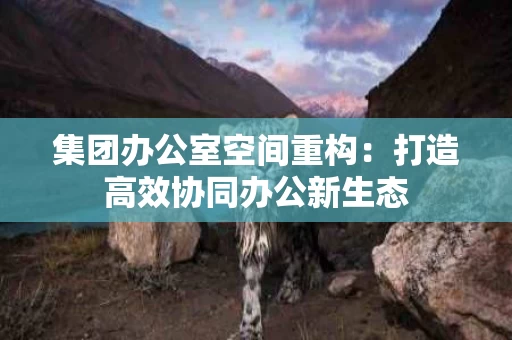 集团办公室空间重构：打造高效协同办公新生态