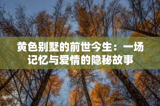 黄色别墅的前世今生：一场记忆与爱情的隐秘故事