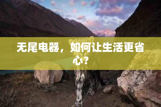 无尾电器，如何让生活更省心？