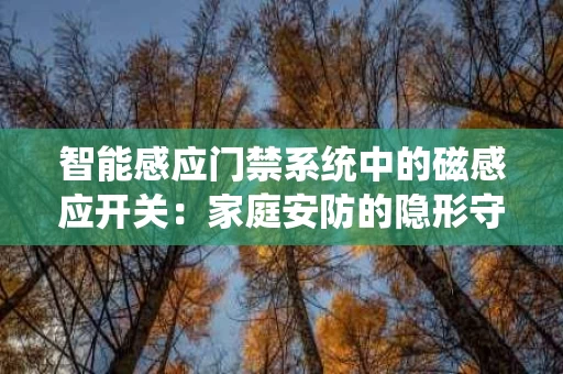 智能感应门禁系统中的磁感应开关：家庭安防的隐形守护者