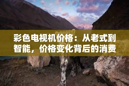 彩色电视机价格：从老式到智能，价格变化背后的消费趋势