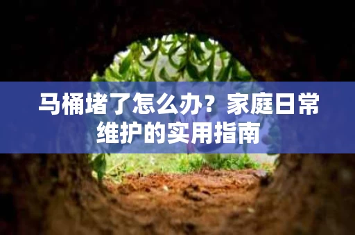 马桶堵了怎么办？家庭日常维护的实用指南