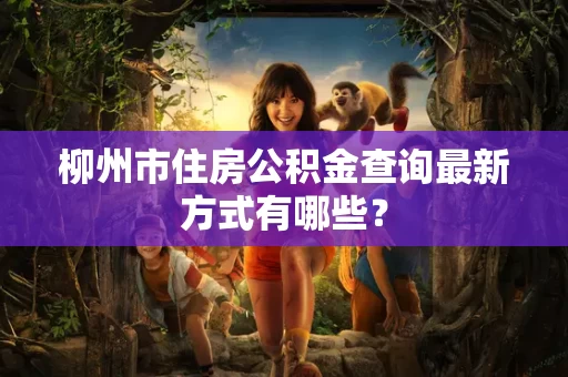 柳州市住房公积金查询最新方式有哪些？