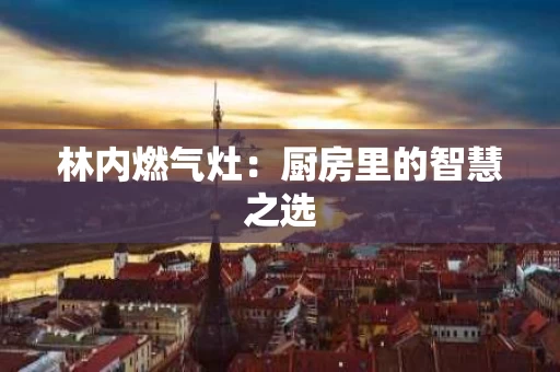 林内燃气灶：厨房里的智慧之选