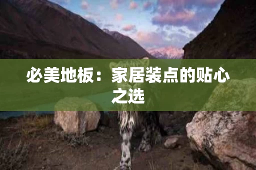 必美地板：家居装点的贴心之选