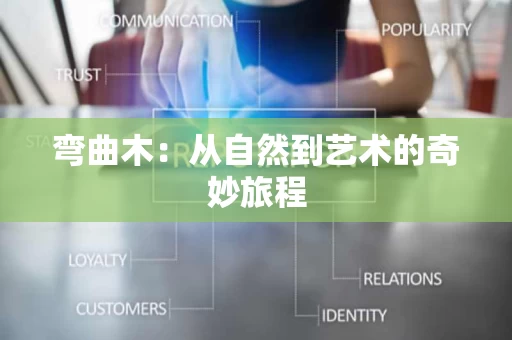 弯曲木：从自然到艺术的奇妙旅程