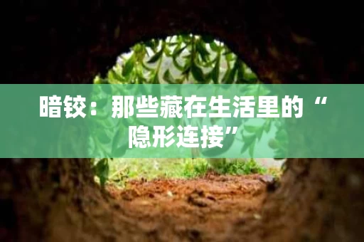 暗铰：那些藏在生活里的“隐形连接”
