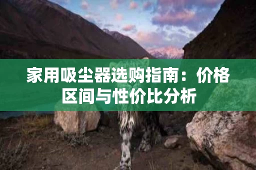 家用吸尘器选购指南：价格区间与性价比分析