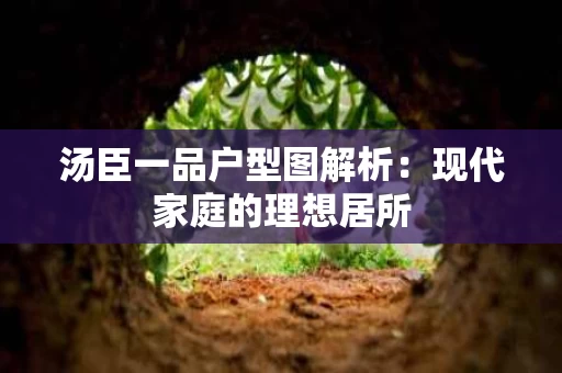 汤臣一品户型图解析：现代家庭的理想居所