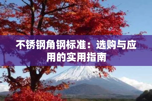 不锈钢角钢标准：选购与应用的实用指南