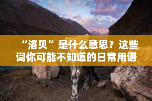 “洛贝”是什么意思？这些词你可能不知道的日常用语