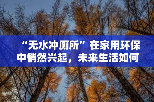 “无水冲厕所”在家用环保中悄然兴起，未来生活如何改变？