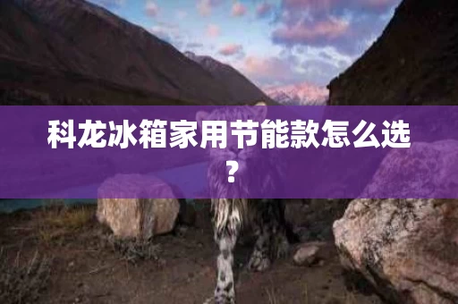科龙冰箱家用节能款怎么选？