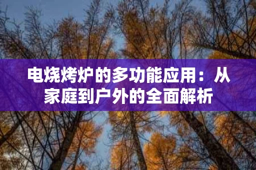 电烧烤炉的多功能应用：从家庭到户外的全面解析