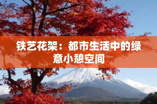 铁艺花架：都市生活中的绿意小憩空间