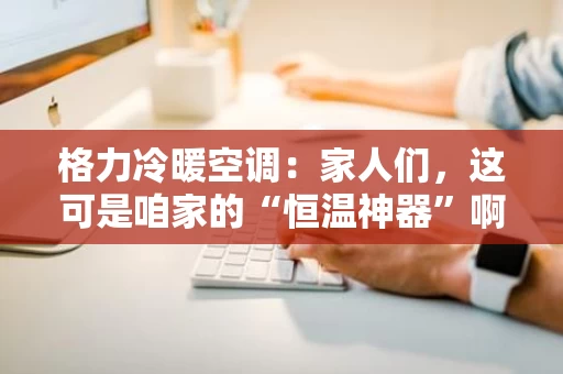 格力冷暖空调：家人们，这可是咱家的“恒温神器”啊！