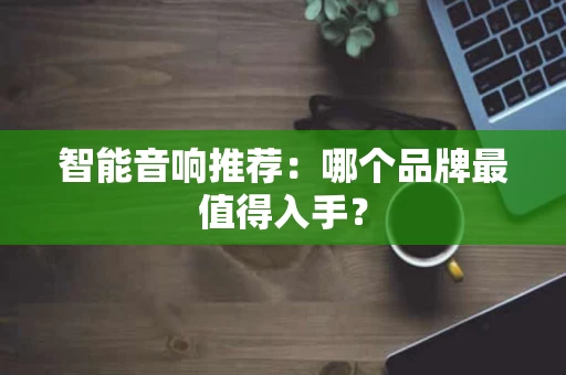 智能音响推荐：哪个品牌最值得入手？
