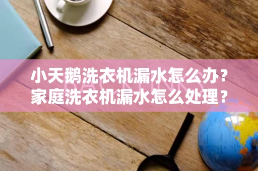 小天鹅洗衣机漏水怎么办？家庭洗衣机漏水怎么处理？