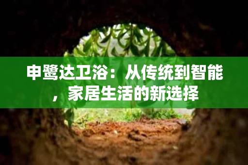 申鹭达卫浴：从传统到智能，家居生活的新选择