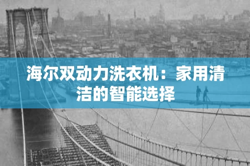 海尔双动力洗衣机：家用清洁的智能选择