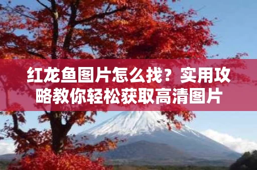 红龙鱼图片怎么找?实用攻略教你轻松获取高清图片 红龙鱼图片怎么找?实用攻略教你轻松获取高清图片