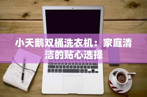 小天鹅双桶洗衣机：家庭清洁的贴心选择