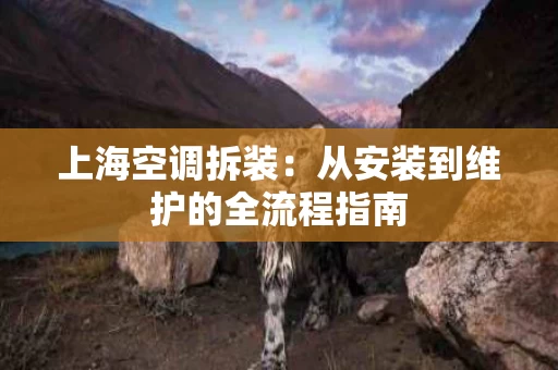 上海空调拆装：从安装到维护的全流程指南