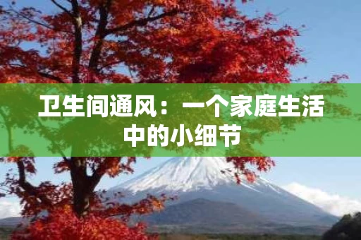 卫生间通风：一个家庭生活中的小细节