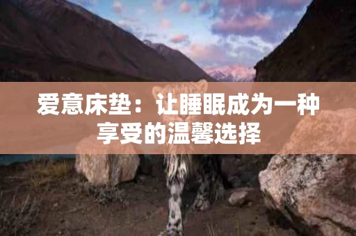 爱意床垫：让睡眠成为一种享受的温馨选择