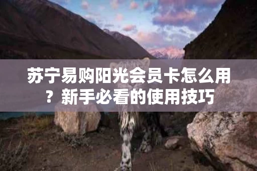 苏宁易购阳光会员卡怎么用？新手必看的使用技巧