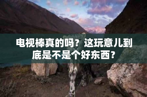 电视棒真的吗？这玩意儿到底是不是个好东西？