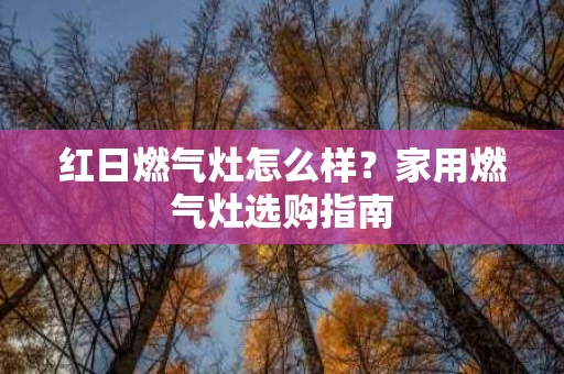 红日燃气灶怎么样?家用燃气灶选购指南 红日燃气灶怎么样?家用燃气灶选购指南