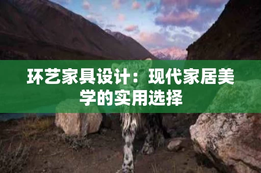 环艺家具设计:现代家居美学的实用选择 环艺家具设计:现代家居美学的实用选择