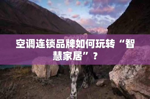 空调连锁品牌如何玩转“智慧家居”? 空调连锁品牌如何玩转“智慧家居”?