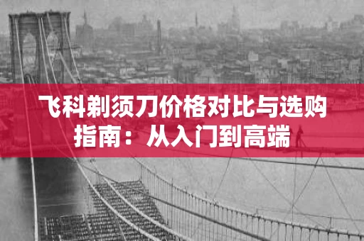 飞科剃须刀价格对比与选购指南:从入门到高端 飞科剃须刀价格对比与选购指南:从入门到高端
