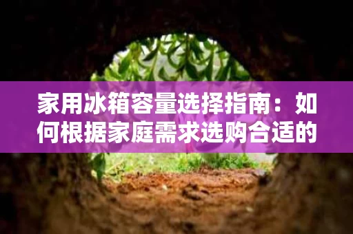 家用冰箱容量选择指南:如何根据家庭需求选购合适的单门冰箱 家用冰箱容量选择指南:如何根据家庭需求选购合适的单门冰箱