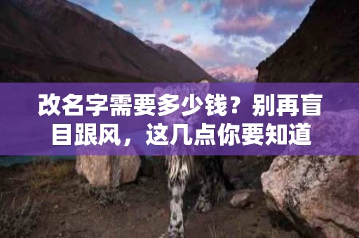 改名字需要多少钱?别再盲目跟风,这几点你要知道 改名字需要多少钱?别再盲目跟风,这几点你要知道