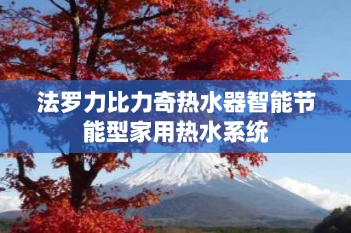 法罗力比力奇热水器智能节能型家用热水系统 法罗力比力奇热水器智能节能型家用热水系统