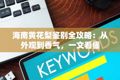 海南黄花梨鉴别全攻略：从外观到香气，一文看懂