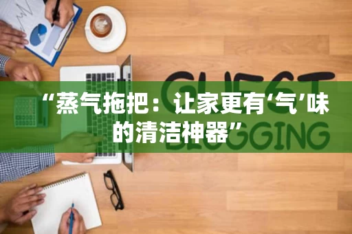 “蒸气拖把:让家更有‘气’味的清洁神器” “蒸气拖把:让家更有‘气’味的清洁神器”