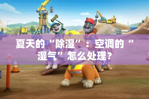 夏天的“除湿”:空调的“湿气”怎么处理? 夏天的“除湿”:空调的“湿气”怎么处理?