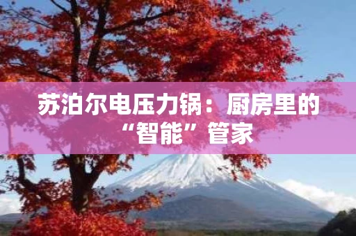苏泊尔电压力锅:厨房里的“智能”管家 苏泊尔电压力锅:厨房里的“智能”管家