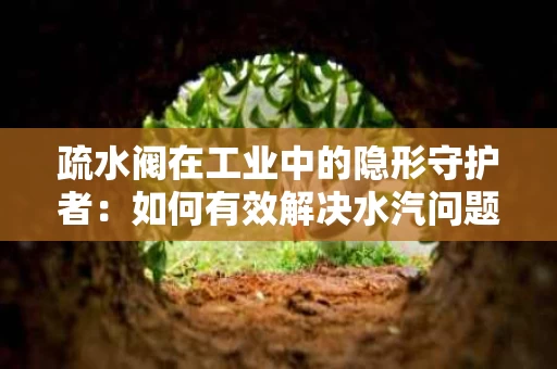 疏水阀在工业中的隐形守护者:如何有效解决水汽问题 疏水阀在工业中的隐形守护者:如何有效解决水汽问题