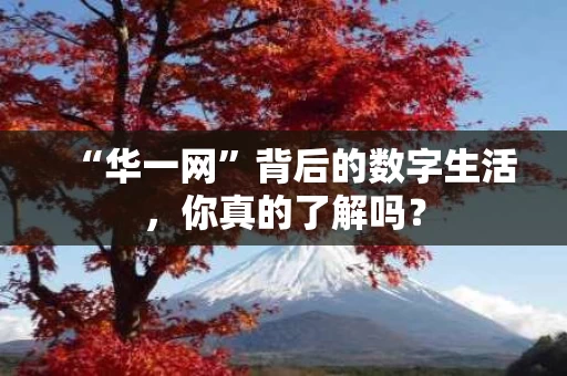 “华一网”背后的数字生活，你真的了解吗？