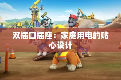 双插口插座：家庭用电的贴心设计