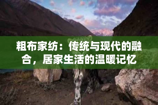 粗布家纺:传统与现代的融合,居家生活的温暖记忆 粗布家纺:传统与现代的融合,居家生活的温暖记忆