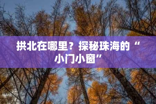 拱北在哪里？探秘珠海的“小门小窗”